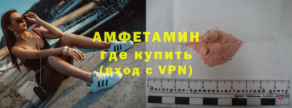 дживик Пересвет