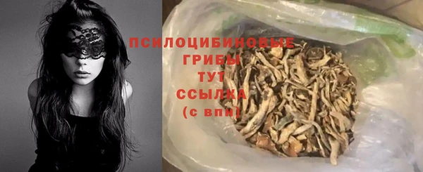 apvp Пестово