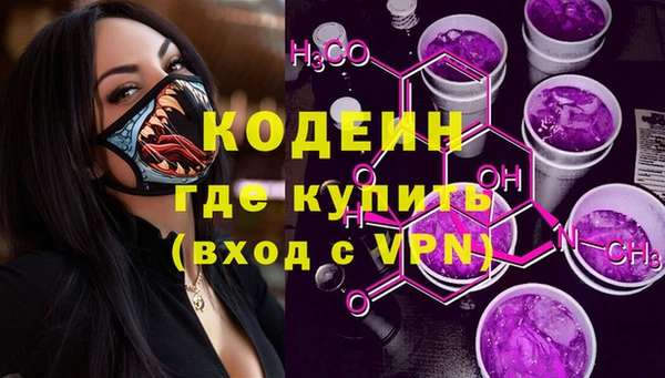 дживик Пересвет