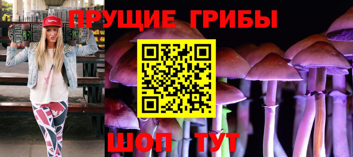 Галлюциногенные грибы Psilocybine cubensis Ирбит